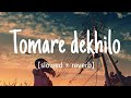 Tomare Dekhilo Slowed Reverb Habib Wahid Nancy Chandragrahan তোমারে দেখিলো M