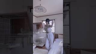 ちっぱいやけどそれもまたいい