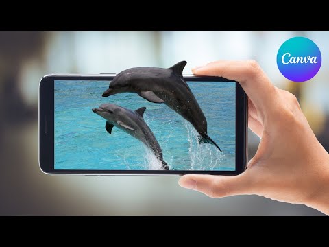 How to Fade Image into Background in Canva Step by Step