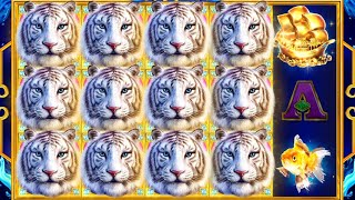 Download lagu Water Tiger Big Win - (Endorphina) mp3