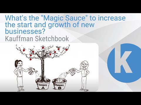 Kauffman Sketchbook | What's the "Magic Sauce" to increase the start and growth of new businesses?