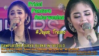 Download lagu JAGAT TRESNO prigel pangayu anjarwening campursari SURYA BUANA mp3 Download lagu JAGAT TRESNO prigel pangayu anjarwening campursari SURYA BUANA mp3