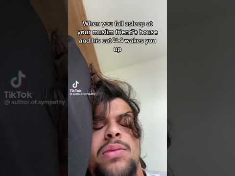 Arab cat wakes you up
