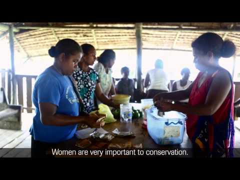 Nature Inspires Action