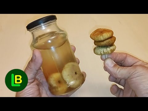 The fat from the blood vessels is burned. High cholesterol as if it never existed