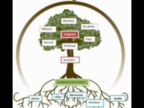 LUCRARILE DUHULUI - Charles Stanley