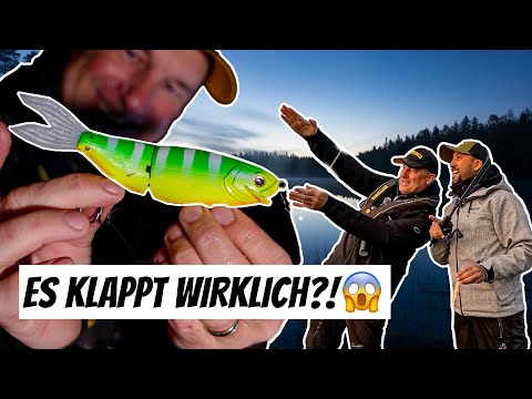 Wahnsinn! Zander auf Glidebaits – Unsere verrückte Angel-Aktion! 🎁