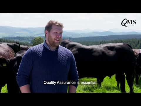 Meat With Integrity Behind the Scenes: Bruce McConachie