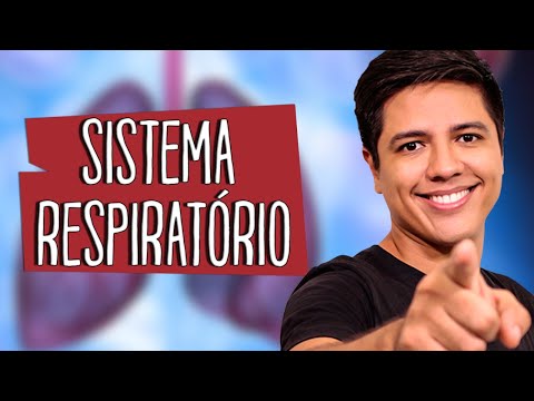 RESPIRATORY SYSTEM - ANATOMY AND PHYSIOLOGY - Prof. Kennedy Ramos