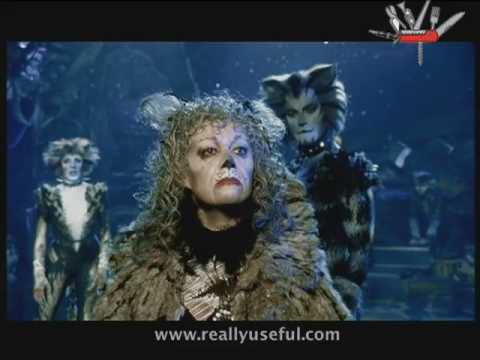 Grizabella, The Glamour Cat