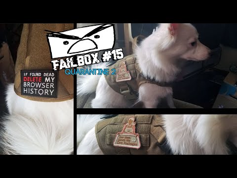 FailBox #15: Quarantine #2