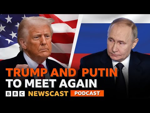 Video | What could the Trump Putin meeting in Hungary mean for the war in Ukraine? | BBC Newscast