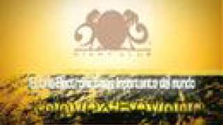 Above  amp  Beyond Dady 3 O Cancun