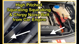 How to Fix or TroubleShoot a Squeaky Drive Belt, Squealing & Chirpy Noise during Car Engine Startup
