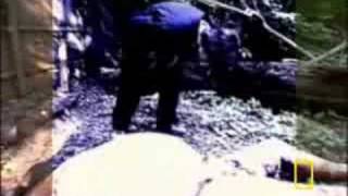 The Body Farm - Study of Human Decomposition
