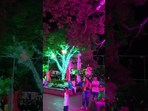 Noche de velitas y alumbrado navideño san Pedro valle del cauca #turismo