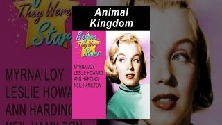 Before They Were Stars - Animal Kingdom