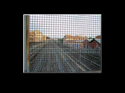 elettrojoyce disfatta domenicale