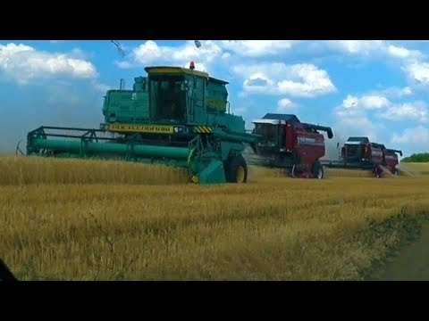 Большегруз на Комбайне Полесье. Уборка Пшеницы