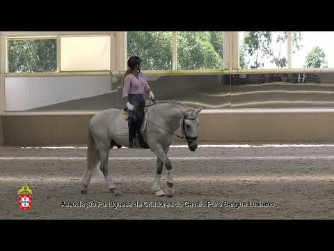 8 Raquel Branco com Nobre da Caniceira