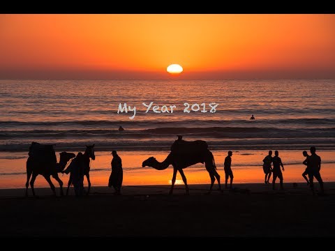 My Year 2018
