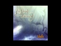 Illusory Me