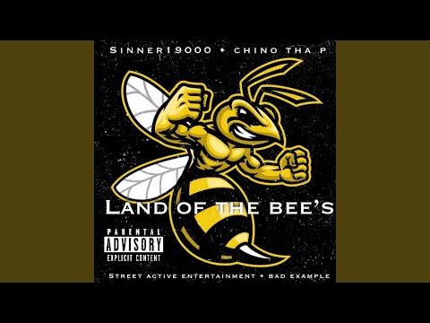 Land Of The Bee's