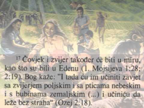 Kakav će odnos  u nuvom svetu između zivotinja i ljudi postojati