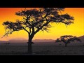 'Spirit Of Africa' - David Mindel & Miriam Stockley ...