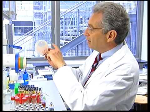 Prof. Dr. Garabed Antranikian - Deutscher Umweltpreis 2004 - Pionier der "Weißen Biotechnologie"