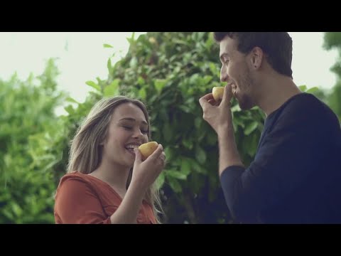 Mateo Pilat - Gelosia