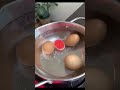 Hard Boiled Eggs Changing Timer #timer #egg #cooking