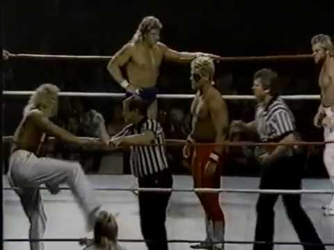 The Fantastics vs Eddie Gilbert & Sting