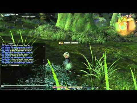 Let's Play Final Fantasy XIV [598] Botanist Quest One
