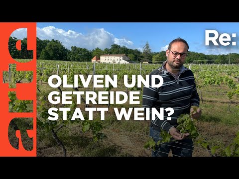 Bordeaux winegrowers in distress | ARTE Re: