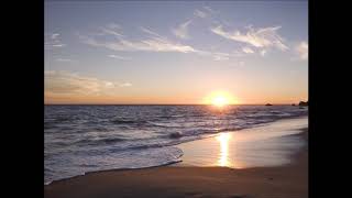 Hemstock & Jennings - Crimson Soil (Singular's Malibu Baywatch Remix)
