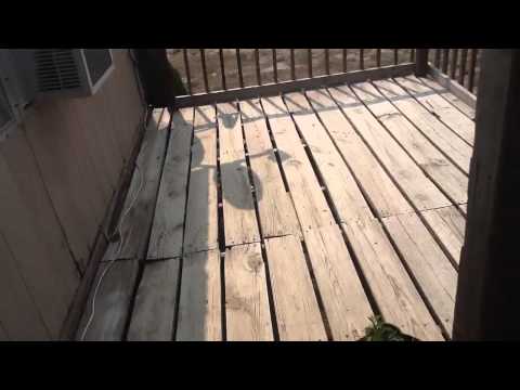 Bullet proof blast shield