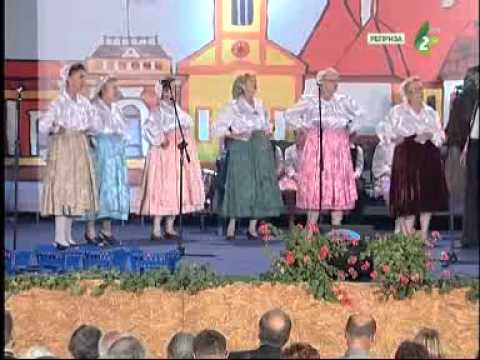 NJE ZRUBUJ, NJE SCINAJ - Mišana žridlova grupa KPD "Djura Kiš", ŠID