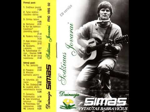 Vytautas Babravičius  - Apie bronzinius lietuvius