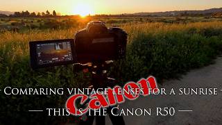 Comparing vintage lenses for sunrise photography on the Canon R50 -  amazing flares - I like vintage