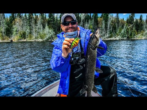 Air Ivanhoe Canadian Pike Fishing Vlog Day 1 - The Late Spring Grind - YouTube