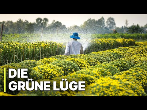 Video-Thumbnail von YouTube