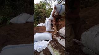 Download lagu wow kuat Nya beban yang di gendong nya#perdedakan shorts mp3