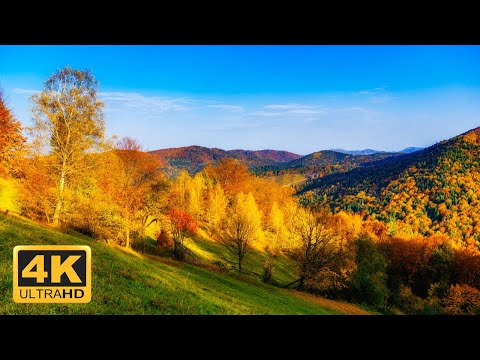 11 HOURS of 4K Enchanting Autumn Nature Scenes + Relaxing Piano Music for Stress Relief