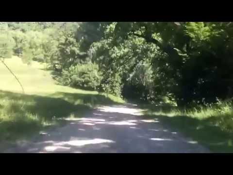 drumul taberei, darmanesti bacau