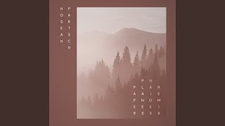 Paper Planes (Haides Remix)