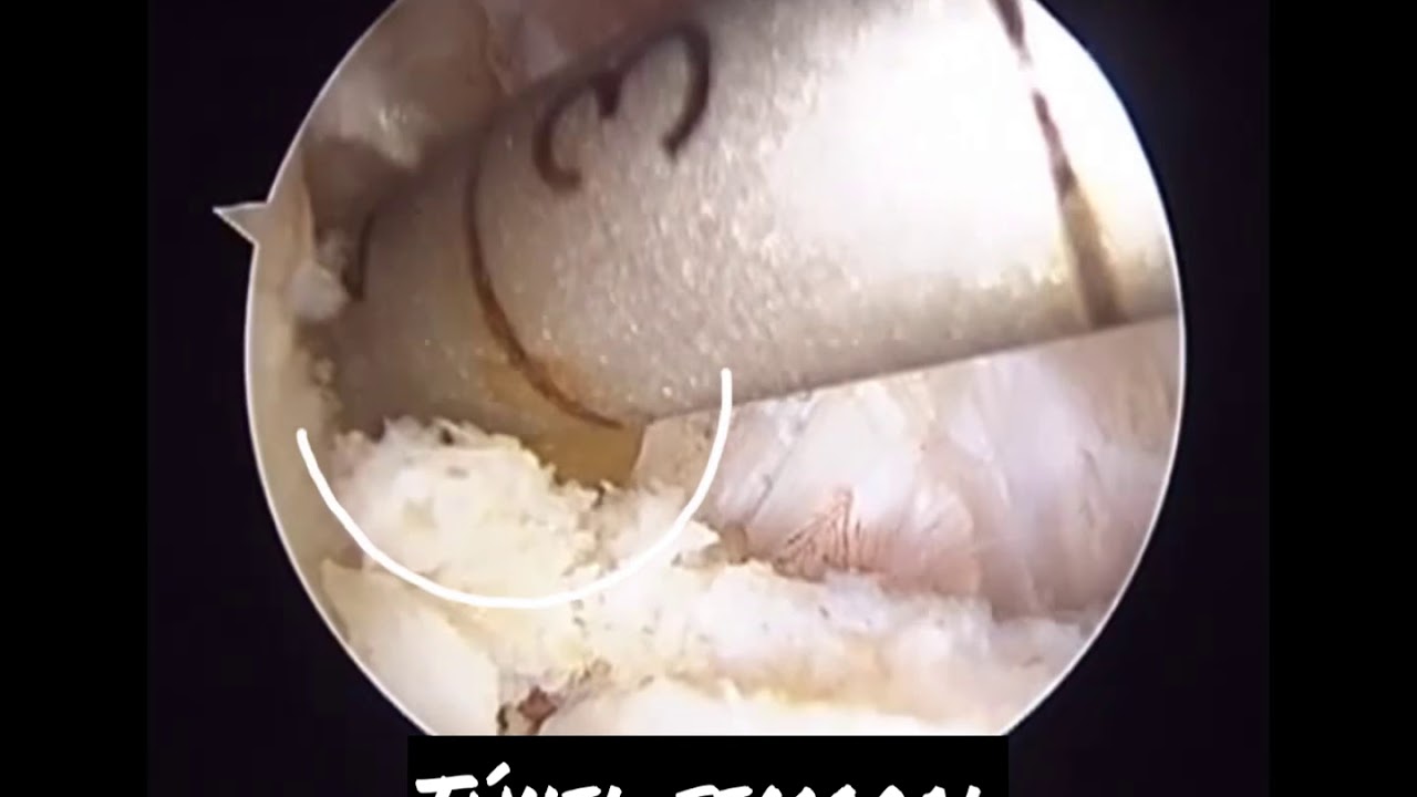 Victor Manuel Carrillo Arvayo-138