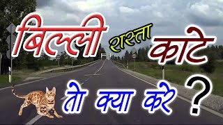 जब बिल्ली रास्ता काटे || बिल्ली का रास्ता काटे तो क्या करे