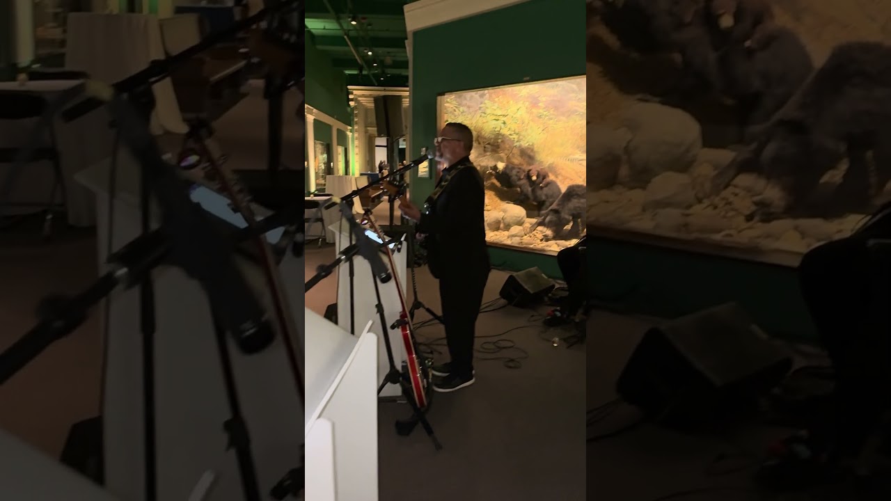 Promotional video thumbnail 2 for The Magnificent Mile Orchestra