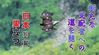 北西の風に誘われて神宿る伊吹山を翔びまくるEnticed by the northwest wind, I fly over the sacred Mount Ibuki